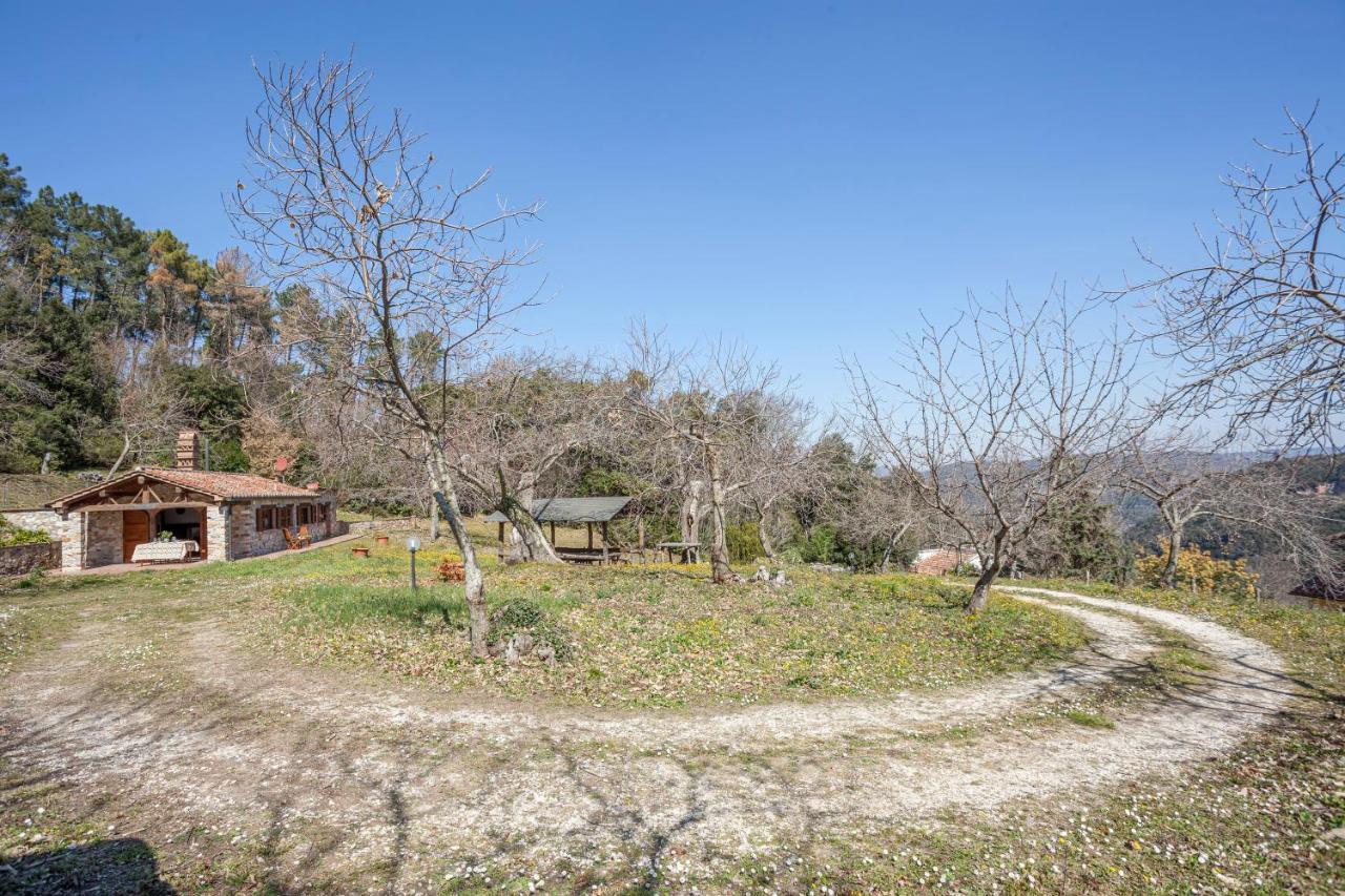 Casa Nel Bosco Villa Sassetta Exterior foto