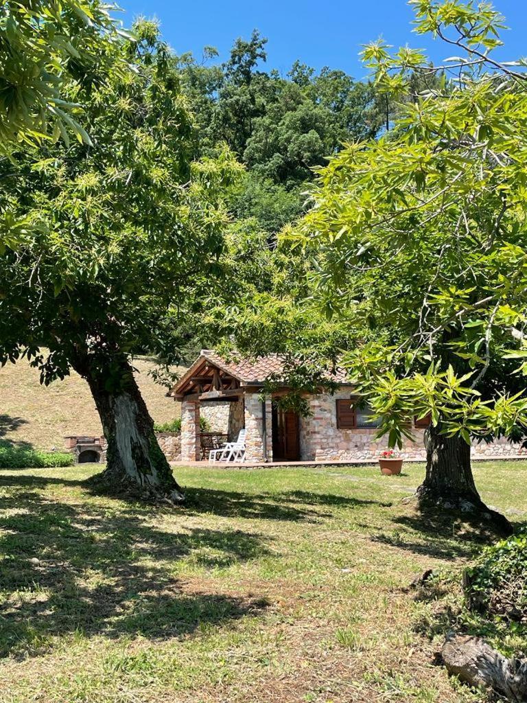 Casa Nel Bosco Villa Sassetta Exterior foto